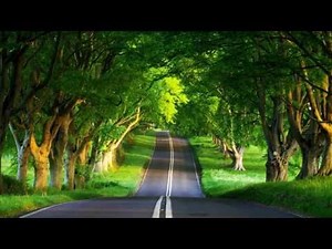 The Borax and Boron Miracle 2 Health Effects of Boron