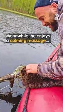 Exhausted Beaver Saved Just in Time ❤️