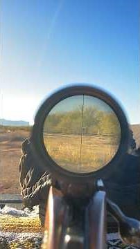 .220 Swift, The Worlds Fastest Commercial Cartridge. Firing from a Ruger M77 “Bull Barrel”