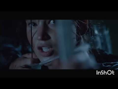 The 74th Hunger Games DEATH ORDER (Book Version)