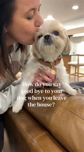 How you say goodbye to your dog matters