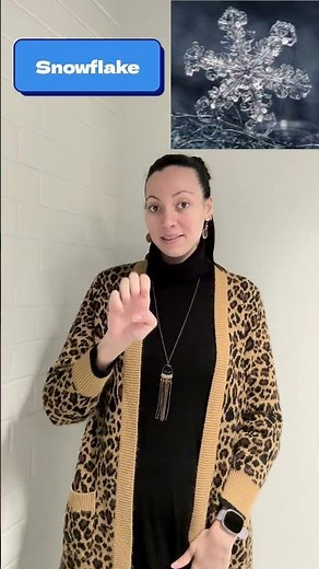 Winter ASL Signs