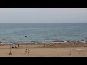 Tot esforç té la seva recompensa. MOLTES GRÀCIES A TOTHOM PER FER POSSIBLE EL NOWA REGGAE!!! #10anysambtu | Nowa Reggae