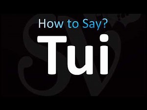 How to Pronounce Tui (CORRECTLY!)
