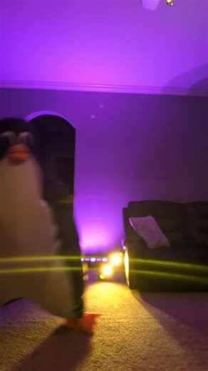 Flipper (@flipperdapenguin)’s video of linux penguin