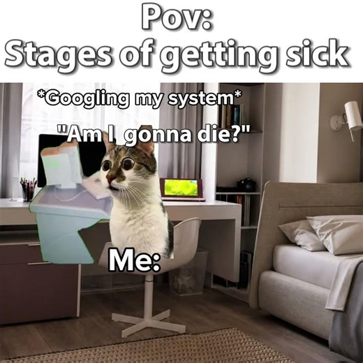 stages of getting sick #catmemes #relatable #shorts #meme