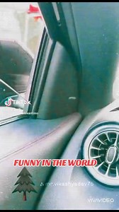 32K views · 109 reactions | 藍 #reelsfacebook #infiltratorosanero #palermo #tiktok | Infiltratorosanero | Facebook