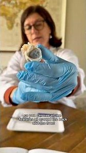 Sheep Eye Dissection- Part 1 👀 #scienceforkids #experimentsforkids #science #dissection #bioboxlabs