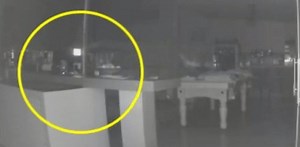 VIRAL: Ghost of family member walks dog eerie video