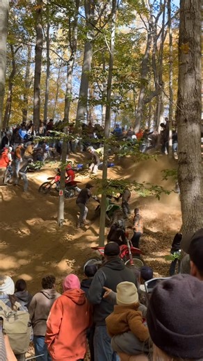 Breanne Dale on Reels