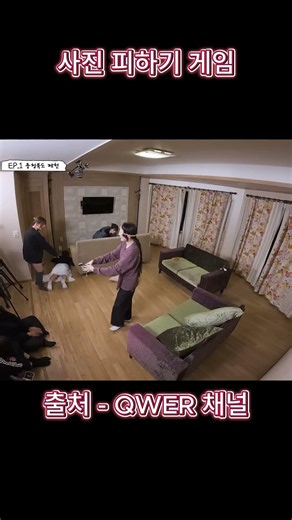 [QWER] "충격!! 크립티드 목격 영상" #마젠타 #쵸단 #시연 #히나