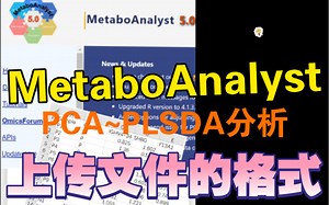 导入（上传）文件的格式～使用MetaboAnalyst做PCA或PLS-DA分析