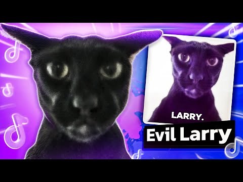 Larry the Cat. Evil Larry is a meme