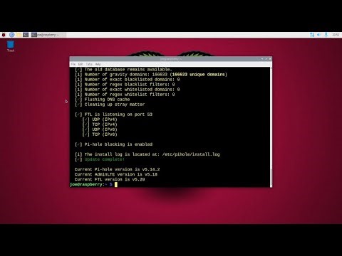 Update Pi-Hole DNS Server From Command Line