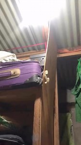 Ahhh Rat Rescue team | Showboi