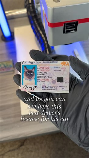 EngravenCard on Instagram: "The Cat Card 🐈💳 #metalcard #laserengraving #luxury"