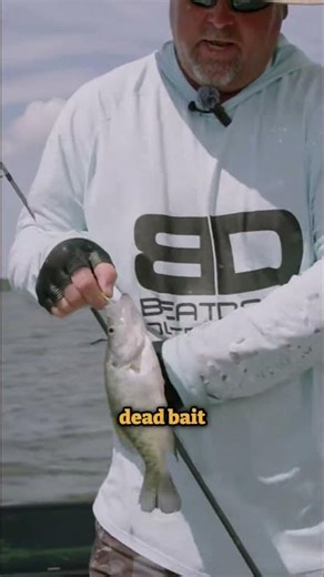 The BEST Rig for Catching Crappie in Brush