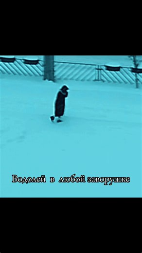 Rina_alien (@rina_alien6)’s videos with lovely - moiseslyricsss