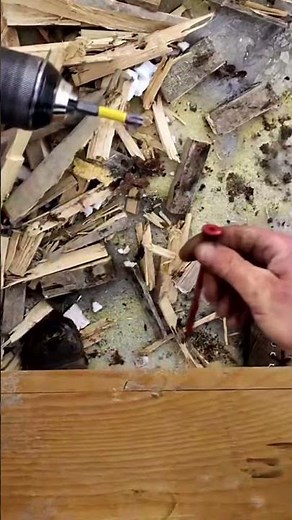 A drill is easier,quieterandfaster to install structural screws than an impact @MakitaToolsUSA