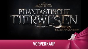 11K views · 132 reactions | +++ TICKETS AB JETZT VERFÜGBAR +++ Der...