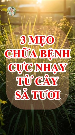 3 Bài Thuốc Cực Nhạy Từ Cây Sả Trị Bách Bệnh #shorts #suckhoe