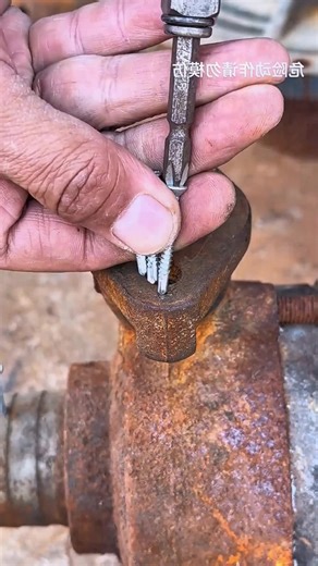 Essential Hardware Tools for Home Renovation