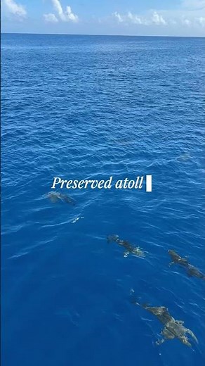 Tetiaroa, French Polynesia, an amazing atoll #atoll #beautifuldestinations #polynésiefrançaise