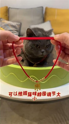 快给毛孩子买这个新年礼物！就是这款宠物小项圈，做工精致，铃铛还是无声的，也不会吵到猫咪，围脖调节也比较方便，不管是大猫小猫大狗小狗，都能轻松戴上，给毛孩子一戴上，看着就喜庆又可爱，气质瞬间就有了...