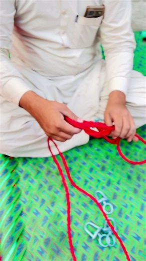 Amazing Animal Videos That Captivate Viewers