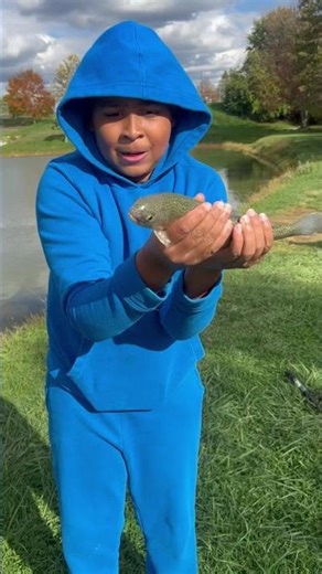 Why my not getting no more views anymore