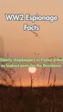 World War 2 Spy Secrets Finally Revealed - #historyshorts