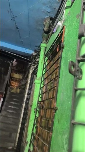 🕊️🕊️🕊️🕊️🕊️🕊️