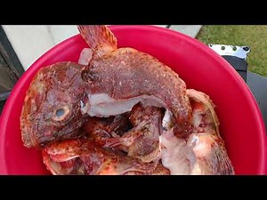 Cooking a sculpin fish tasty