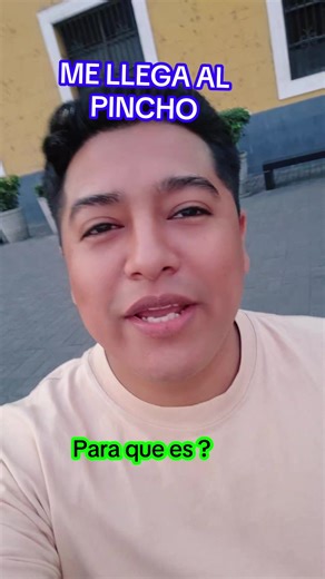 ¿Para qué son esas bolas? Descubre su función