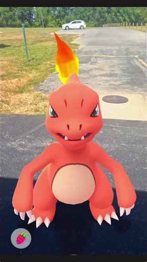 Charmander Charmeleon Charizard Tribute
