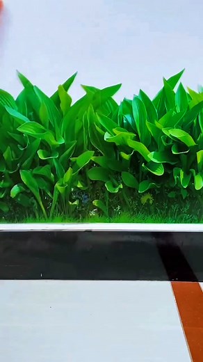 417K views · 1.9K reactions | Link:- https://www.wishlink.com/share/7et76 Like & comment for the link✅ @ammus_finds . . 3d wall stickers, bedroom wall stickers, 3d image, home decoration wall decoration stickers, easy installation,wall art #3dsticker #3d #wallstickers #sticker #homedecor #decoration #home #bedroom | Finds By Aswani | Facebook