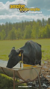 Now getting a loan in Khachrod is easier than ever! 💰 Ayansh Loan offers financial help for farming, labor work, livestock, daily income, house purchase, house construction, and even business on existing property — from ₹3 lakh to ₹50 lakh at low interest rates. Salary and cash salary files are given priority. For more details, contact on the given number. 🏡🚜 #Khachrod #AyanshLoan #BusinessLoan #HomeLoan #FarmingLoan #LowInterest #FinancialSupport #VillageNews #LoanFacility #khachrod #apnakha