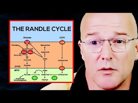 The Randle Cycle Explained (DON'T Mix These Nutrients) | Prof. Bart Kay