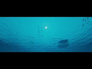 Fishing: North Atlantic - New Year 2021