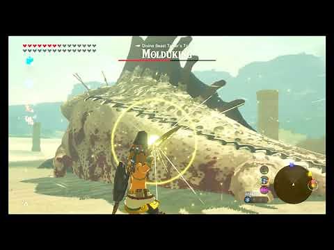 Escape Dark Beast Ganon, Explore Hyrule with Bow of Light and Return to help Zelda