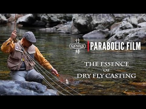 ジーニアスロッド ポリシーPV-3【実践テクニック編】