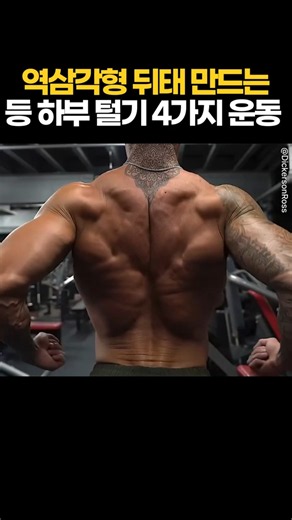 역삼각형 뒤태 만드는 등 하부 털기 4가지 운동