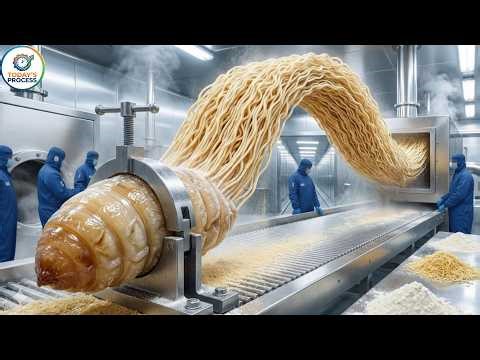 Inside the Modern Noodle Factory: How Instant Noodles Are Made from Mealworms (Full Process)
