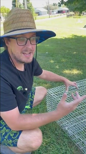 This Trap Catches Giant Snapping Turtles! #turtle #trap #predator #farmlife #farm #animals