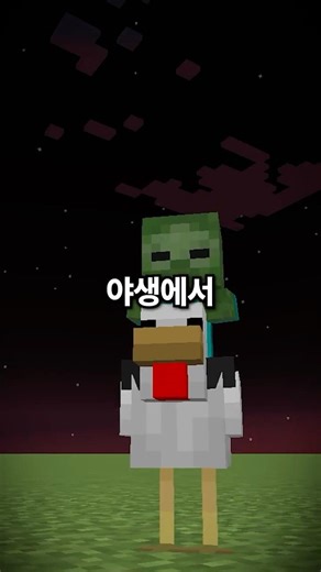 마크 치킨조키 찾기