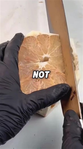 #fyppppppppppppppppppppppppppppppppppp #call | call