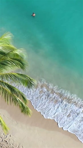 Soft Ocean Waves 🌊 Tropical Beach Relaxation