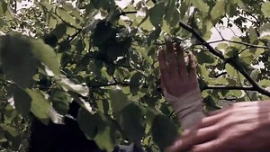 REMASTERED (1984) Full Movie HD