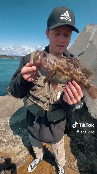 Salt Water Fishing: Catching a Huge Grass Rock Fish