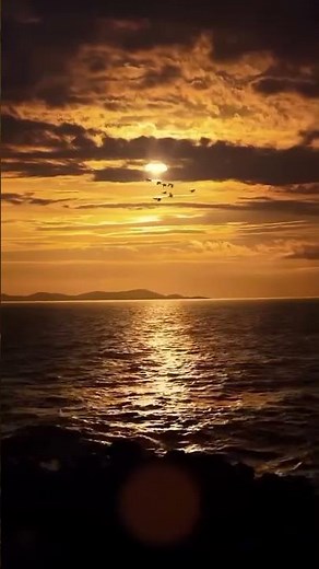"Scenic Backgrounds 4K – Relaxing Nature, Calm Landscapes & Aesthetic Motion Videos for Peace"
